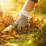 Collecte annuelle de feuilles d’automne de la MRC